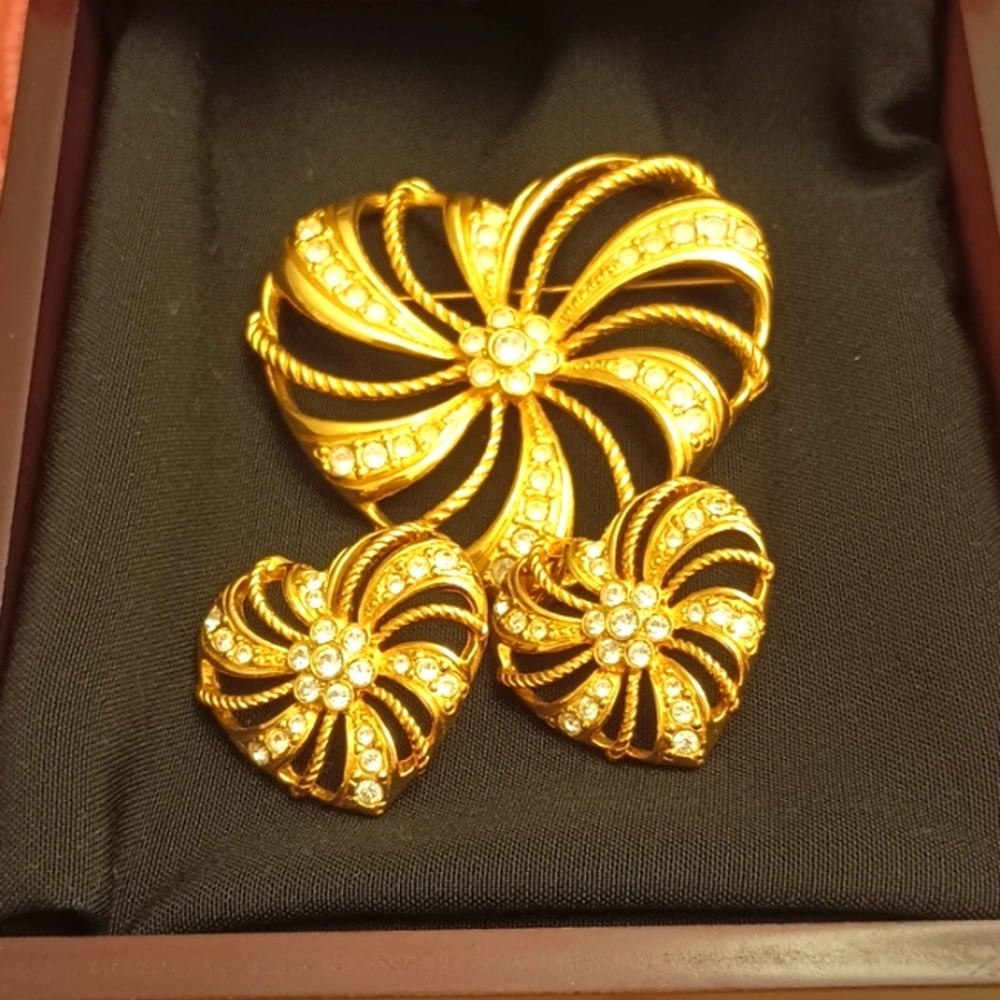 Pin and earrings